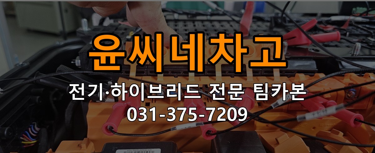 윤씨네차고 전기·하이브리드 전문 팀카본 상담 031-375-7209