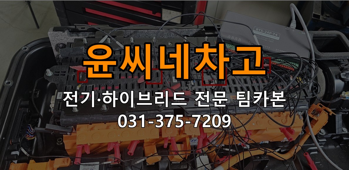 윤씨네차고 전기·하이브리드 전문 팀카본 상담 031-375-7209