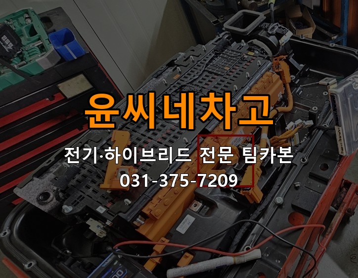윤씨네차고 전기·하이브리드 전문 팀카본 상담 031-375-7209