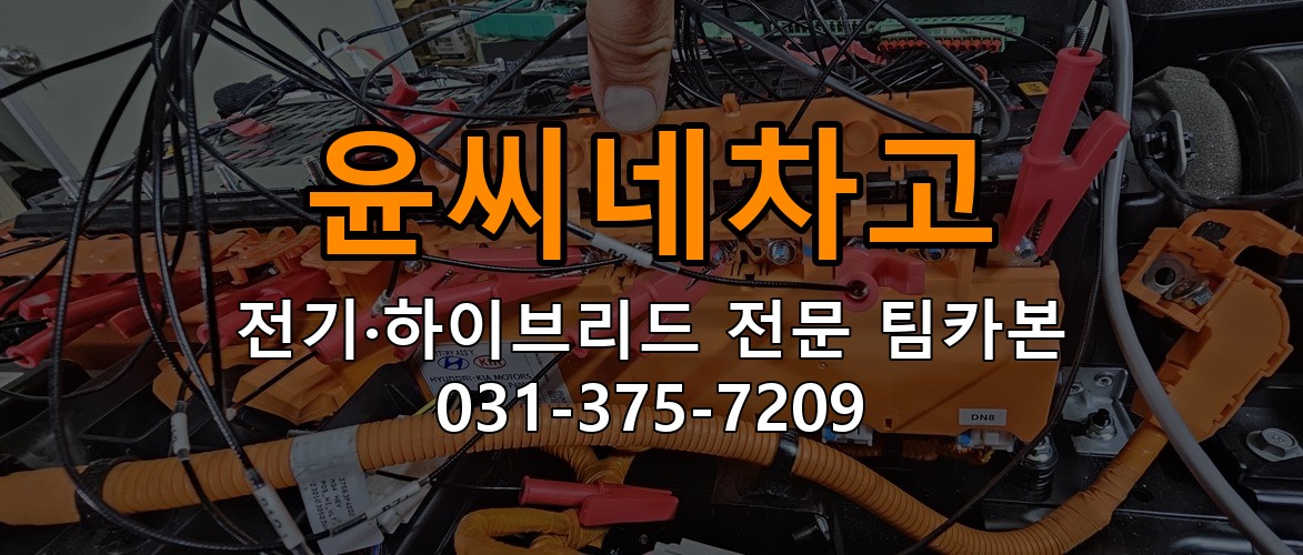 윤씨네차고 전기·하이브리드 전문 팀카본 상담 031-375-7209